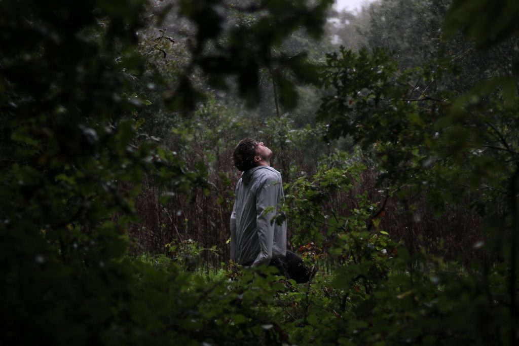 francisco-azorin-thc-retiros-plantas-psicodelicas